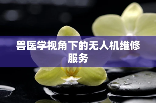 兽医学视角下的无人机维修服务
