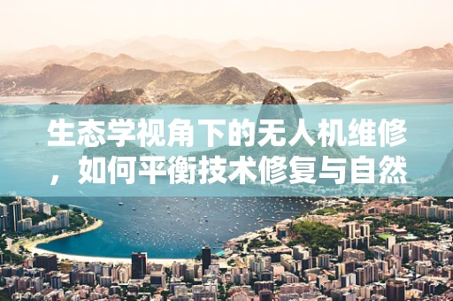 生态学视角下的无人机维修，如何平衡技术修复与自然环境和谐？