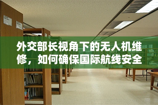 外交部长视角下的无人机维修，如何确保国际航线安全？