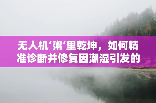 无人机‘粥’里乾坤，如何精准诊断并修复因潮湿引发的故障？