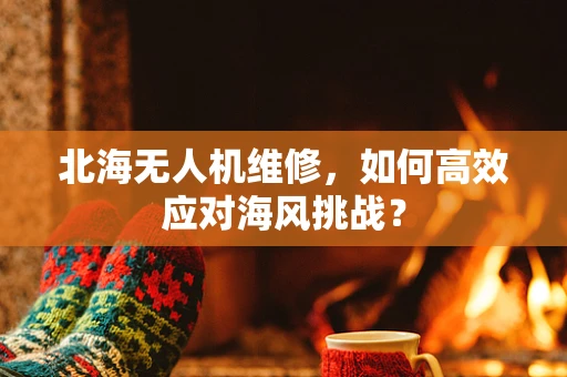 北海无人机维修，如何高效应对海风挑战？