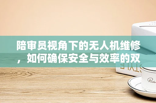 陪审员视角下的无人机维修，如何确保安全与效率的双重保障？
