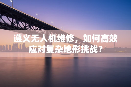 遵义无人机维修，如何高效应对复杂地形挑战？