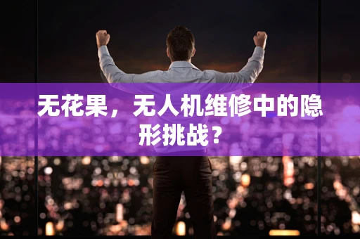 无花果，无人机维修中的隐形挑战？