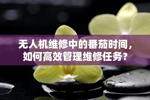 无人机维修中的番茄时间，如何高效管理维修任务？