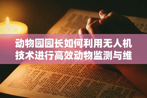 动物园园长如何利用无人机技术进行高效动物监测与维护？