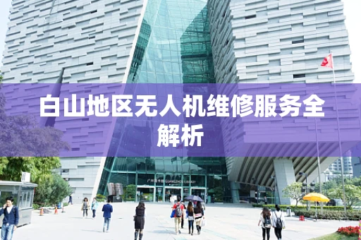 白山地区无人机维修服务全解析