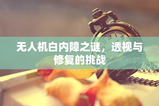 无人机白内障之谜，透视与修复的挑战