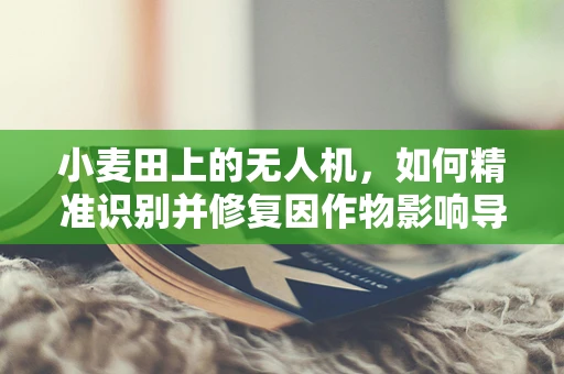 小麦田上的无人机，如何精准识别并修复因作物影响导致的飞行故障？