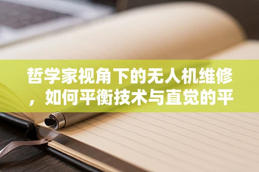 哲学家视角下的无人机维修，如何平衡技术与直觉的平衡？