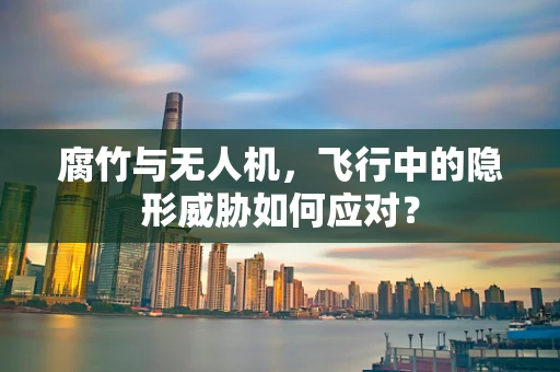 腐竹与无人机，飞行中的隐形威胁如何应对？