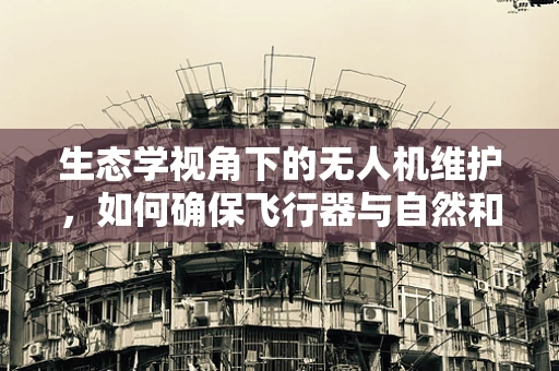 生态学视角下的无人机维护，如何确保飞行器与自然和谐共存？