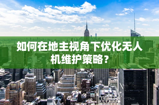 如何在地主视角下优化无人机维护策略？