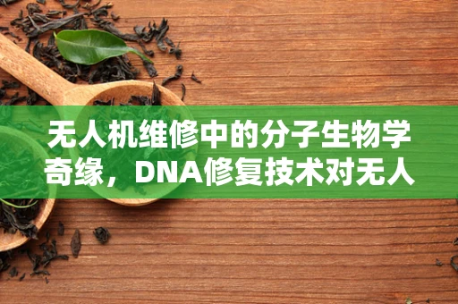 无人机维修中的分子生物学奇缘，DNA修复技术对无人机耐久性的启示