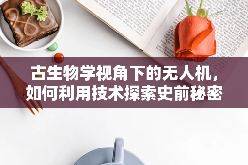 古生物学视角下的无人机，如何利用技术探索史前秘密？