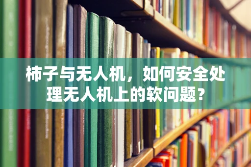 柿子与无人机，如何安全处理无人机上的软问题？