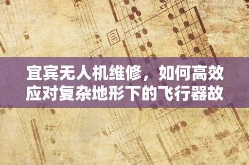 宜宾无人机维修，如何高效应对复杂地形下的飞行器故障？