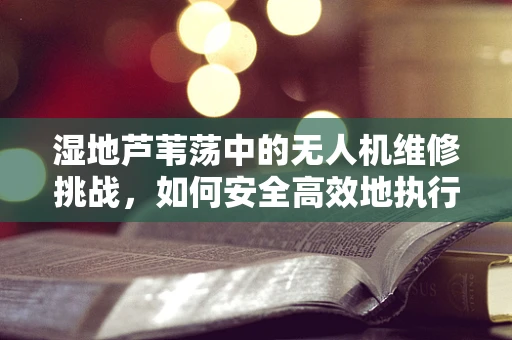 湿地芦苇荡中的无人机维修挑战，如何安全高效地执行？