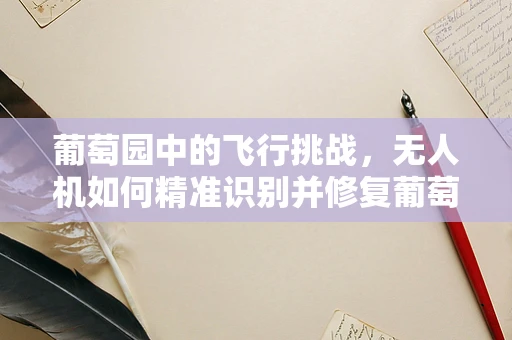 葡萄园中的飞行挑战，无人机如何精准识别并修复葡萄藤病害？