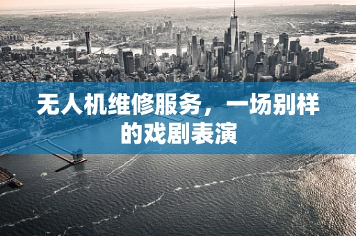 无人机维修服务，一场别样的戏剧表演