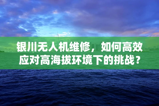 银川无人机维修，如何高效应对高海拔环境下的挑战？