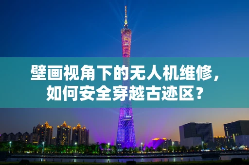 壁画视角下的无人机维修，如何安全穿越古迹区？