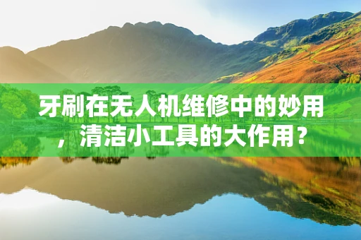 牙刷在无人机维修中的妙用，清洁小工具的大作用？