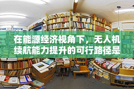 在能源经济视角下，无人机续航能力提升的可行路径是什么？