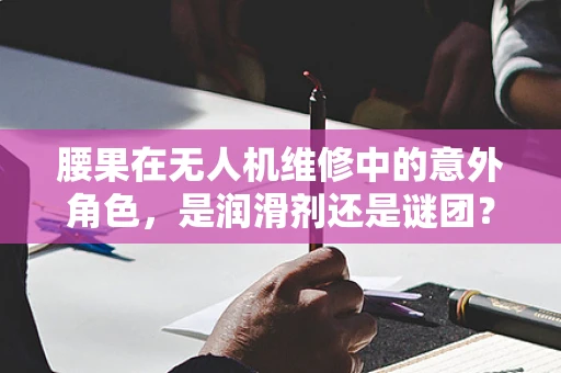 腰果在无人机维修中的意外角色，是润滑剂还是谜团？