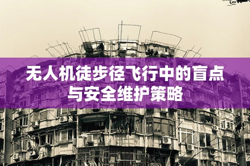 无人机徒步径飞行中的盲点与安全维护策略