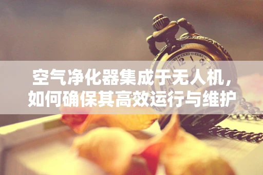 空气净化器集成于无人机，如何确保其高效运行与维护？