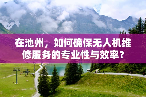在池州，如何确保无人机维修服务的专业性与效率？