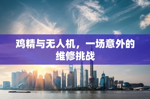 鸡精与无人机，一场意外的维修挑战