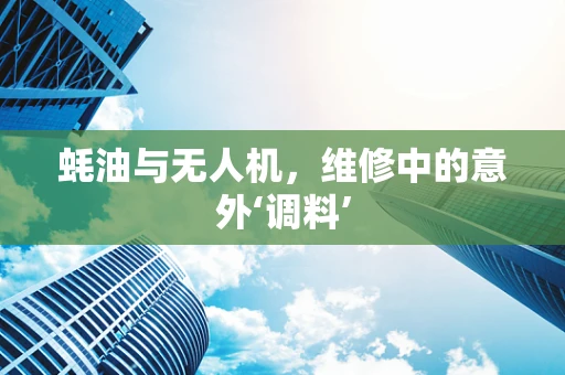 蚝油与无人机，维修中的意外‘调料’