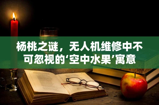 杨桃之谜，无人机维修中不可忽视的‘空中水果’寓意