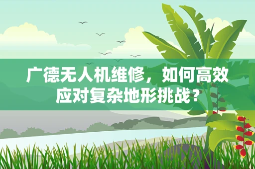 广德无人机维修，如何高效应对复杂地形挑战？