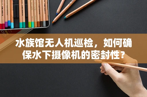 水族馆无人机巡检，如何确保水下摄像机的密封性？
