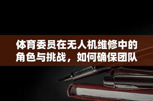 体育委员在无人机维修中的角色与挑战，如何确保团队飞行的安全与高效？