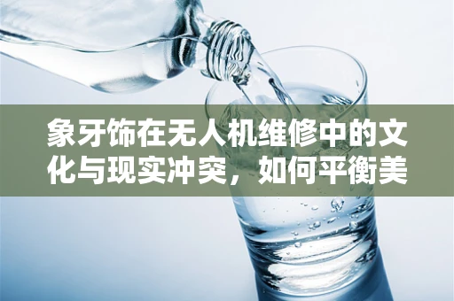 象牙饰在无人机维修中的文化与现实冲突，如何平衡美学与伦理？