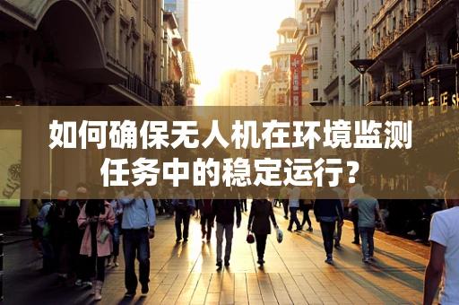 如何确保无人机在环境监测任务中的稳定运行？