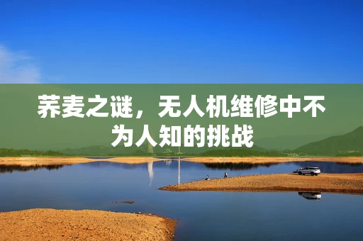 荞麦之谜，无人机维修中不为人知的挑战