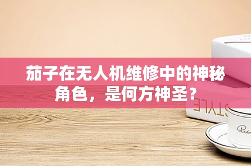 茄子在无人机维修中的神秘角色，是何方神圣？