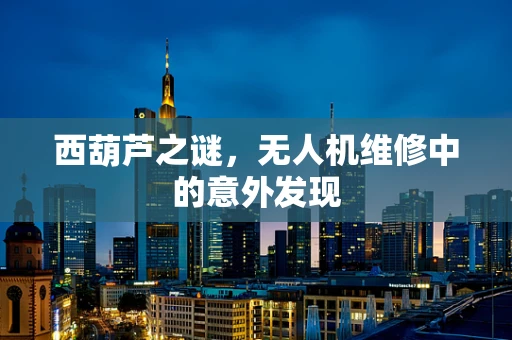 西葫芦之谜，无人机维修中的意外发现