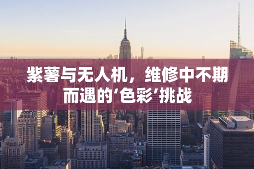 紫薯与无人机，维修中不期而遇的‘色彩’挑战