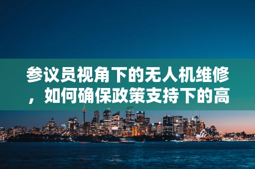 参议员视角下的无人机维修，如何确保政策支持下的高效服务？