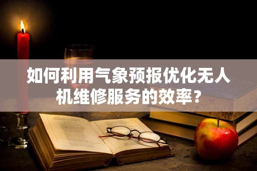 如何利用气象预报优化无人机维修服务的效率？