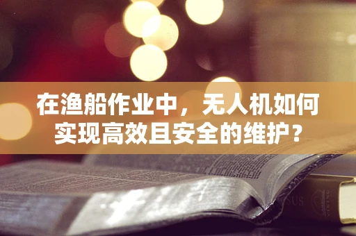 在渔船作业中，无人机如何实现高效且安全的维护？