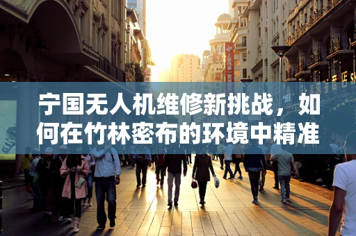 宁国无人机维修新挑战，如何在竹林密布的环境中精准定位故障？
