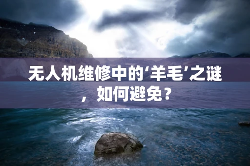 无人机维修中的‘羊毛’之谜，如何避免？