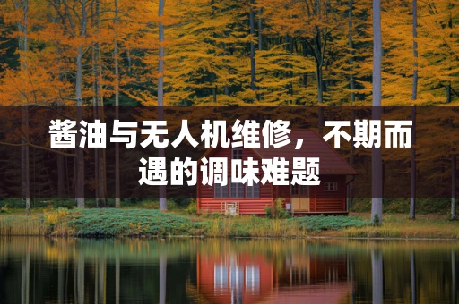 酱油与无人机维修，不期而遇的调味难题